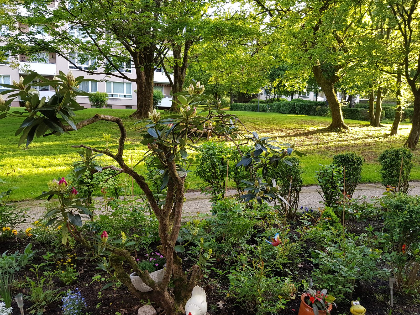 Gepflegter Garten mit Bäumen und Sträuchern